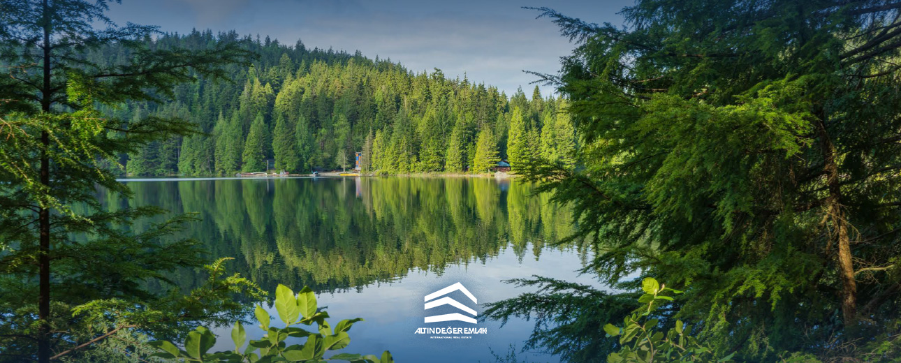 في يشيل آدا